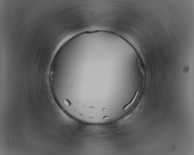 X0000094461197200711211534