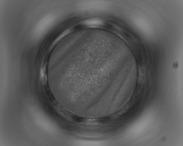 X0000094461198200711211534