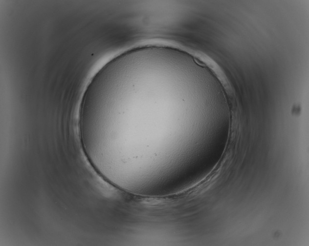 X0000094461199200711211534