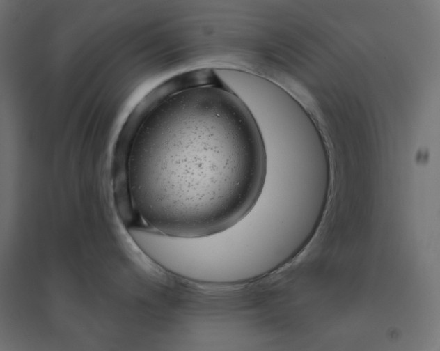 X0000094461200200711211534