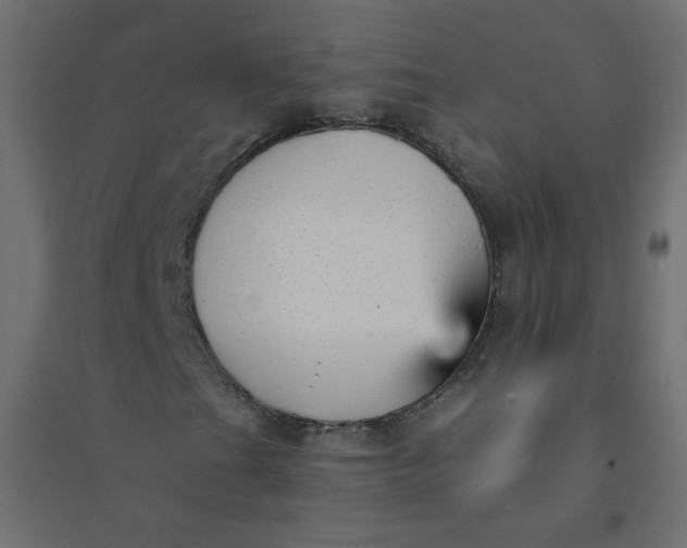 X0000094461201200711211533