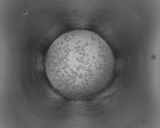 X0000094461202200711211533