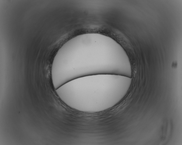X0000094461204200711211533