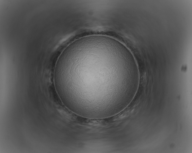 X0000094461205200711211533