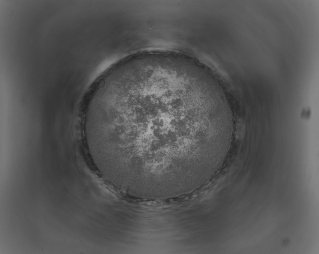 X0000094461208200711211533