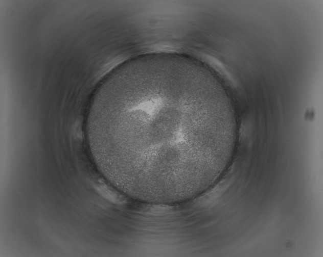 X0000094461209200711211533