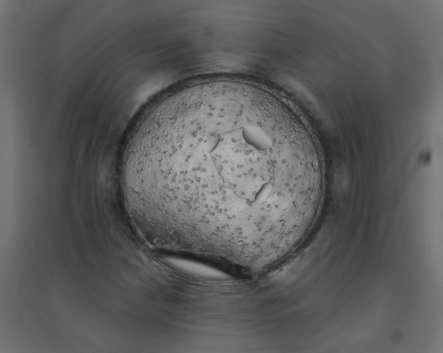 X0000094461210200711211533