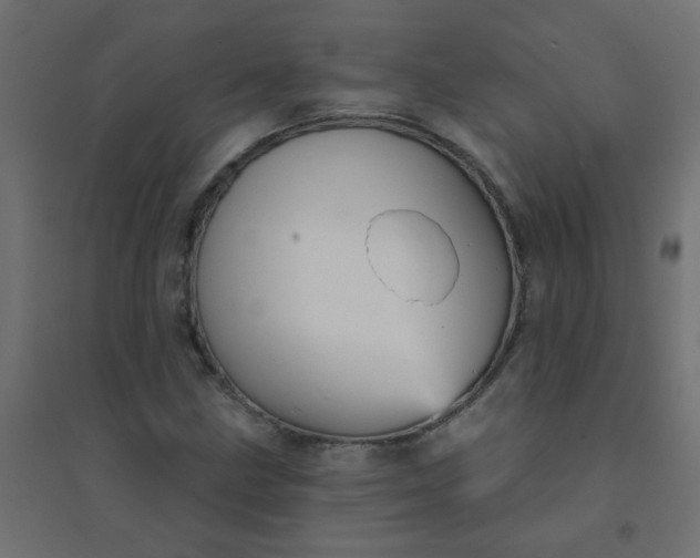 X0000094461211200711211533