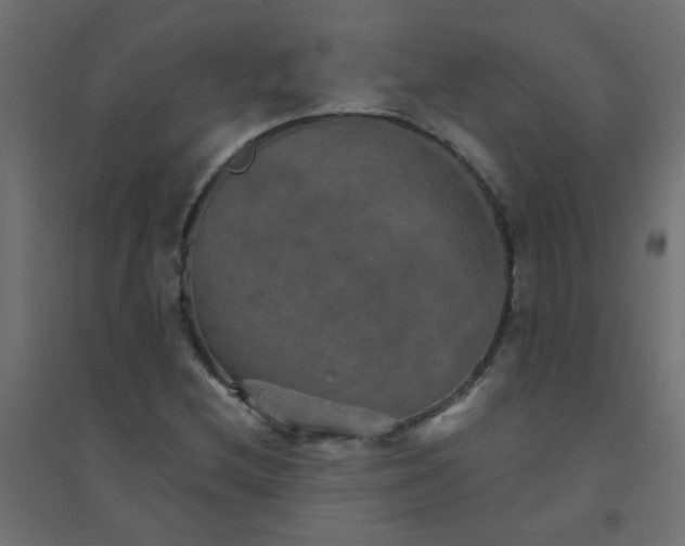 X0000094461212200711211533