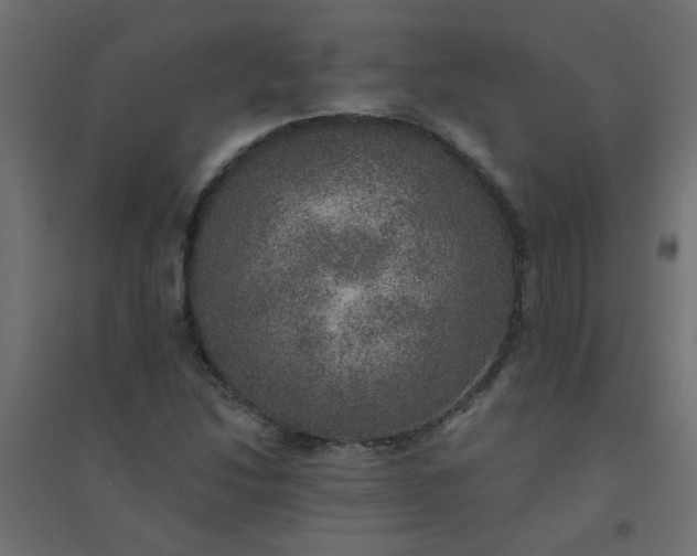 X0000094461214200711211533