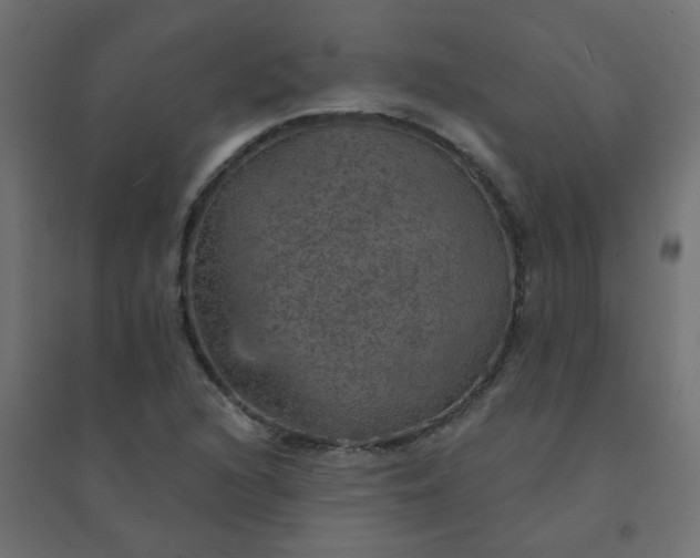 X0000094461216200711211533