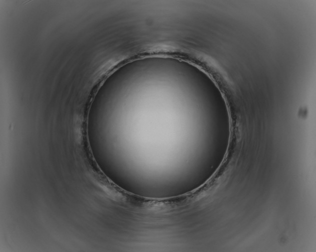 X0000094461217200711211533