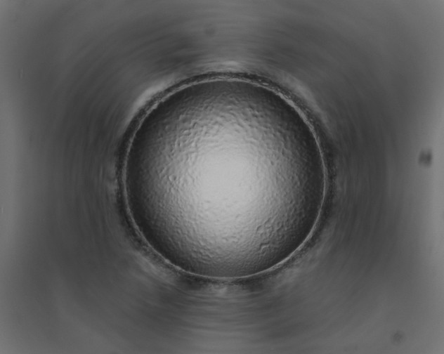 X0000094461218200711211533