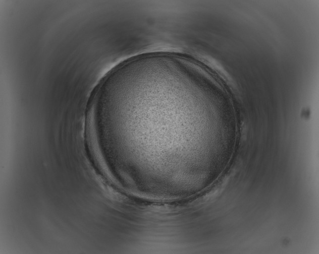 X0000094461220200711211533