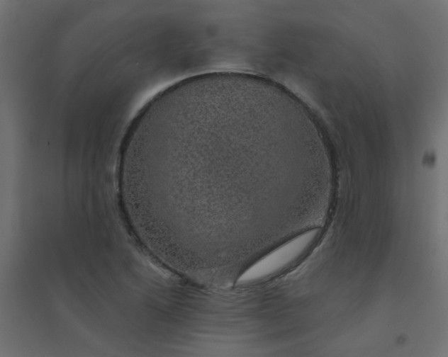 X0000094461222200711211533