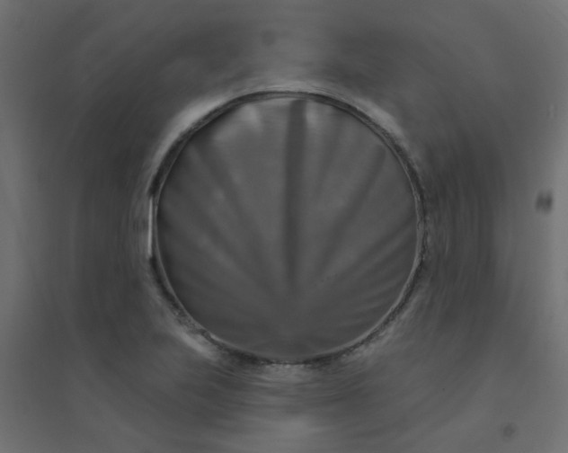 X0000094461223200711211533