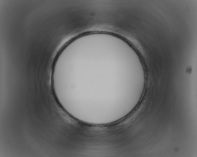 X0000094461224200711211533