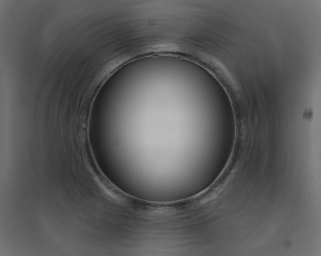 X0000094461225200711211533