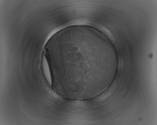 X0000094461226200711211533
