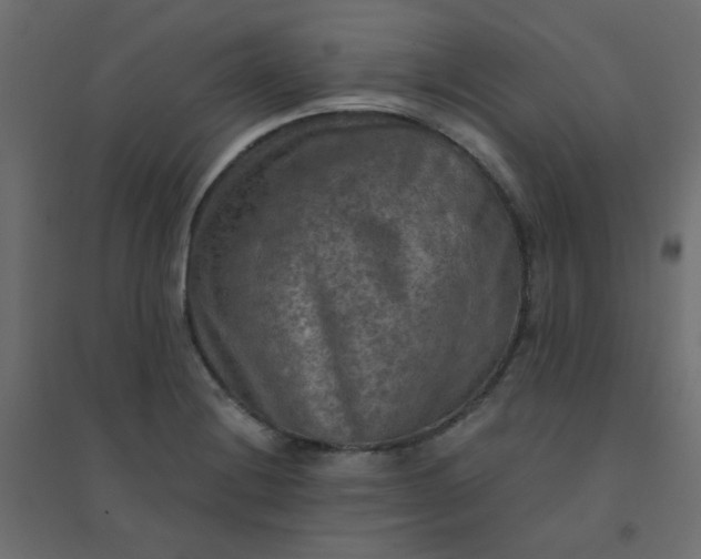 X0000094461228200711211533