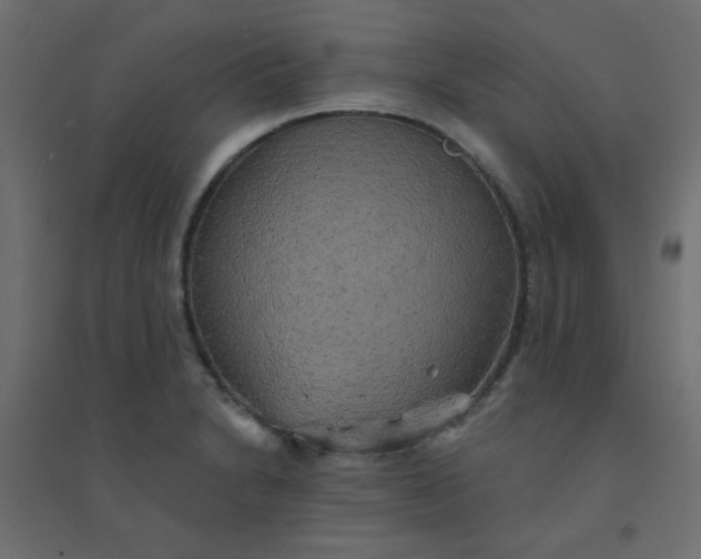 X0000094461230200711211533
