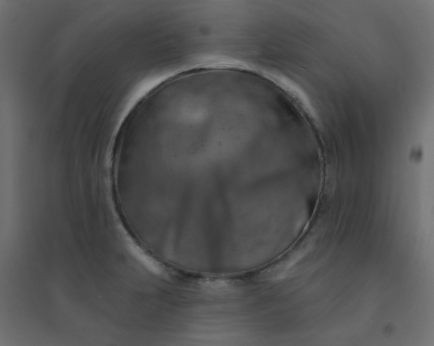 X0000094461231200711211533