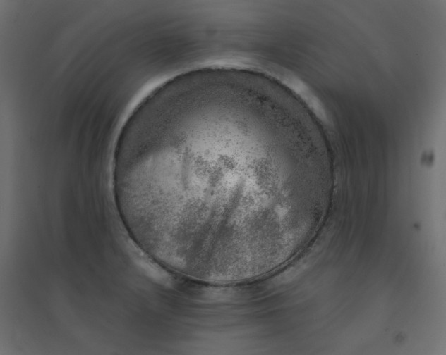 X0000094461232200711211533