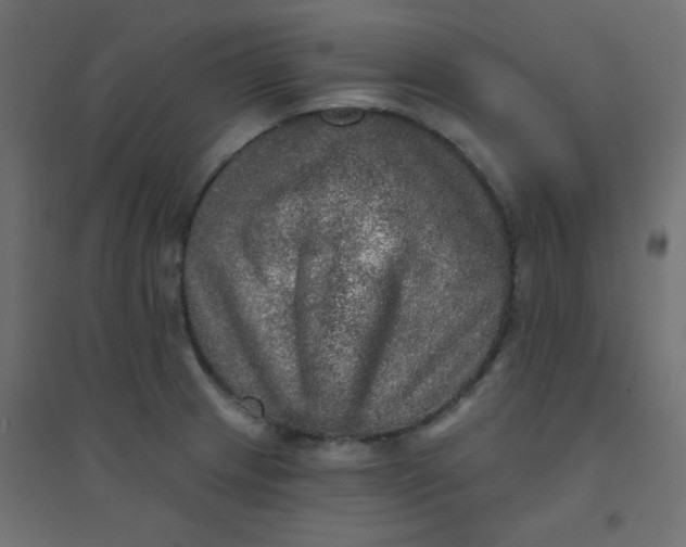 X0000094461233200711211533