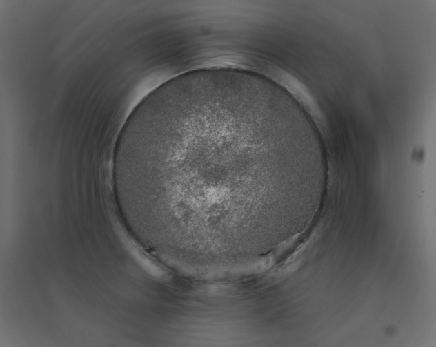 X0000094461234200711211533
