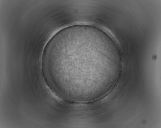 X0000094461236200711211533