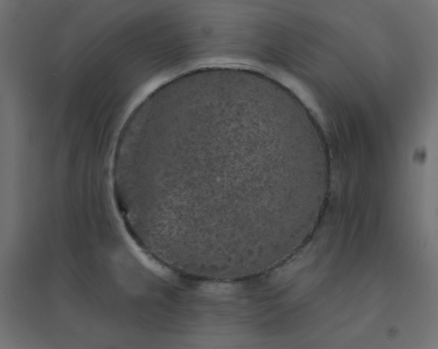X0000094461237200711211533