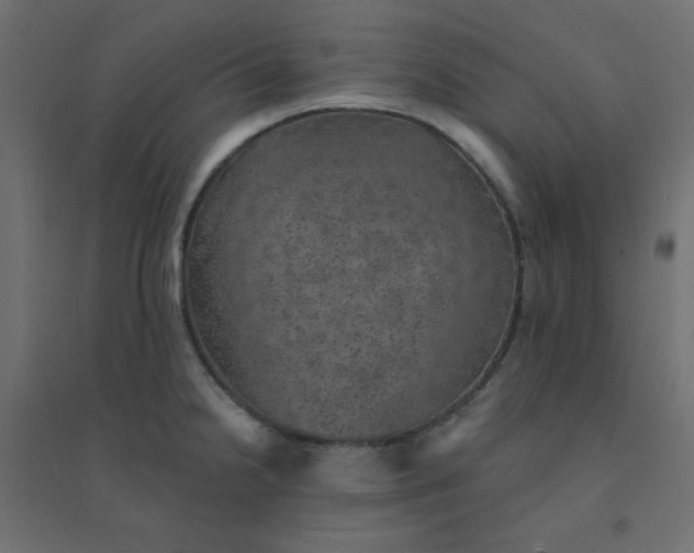 X0000094461238200711211533