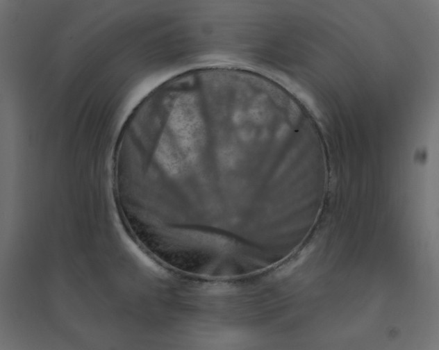 X0000094461239200711211533