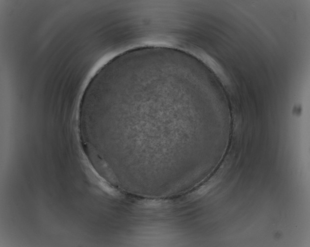 X0000094461240200711211533