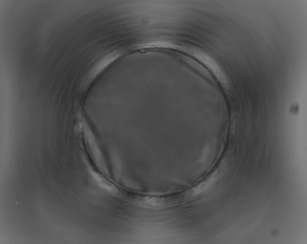 X0000094461241200711211534