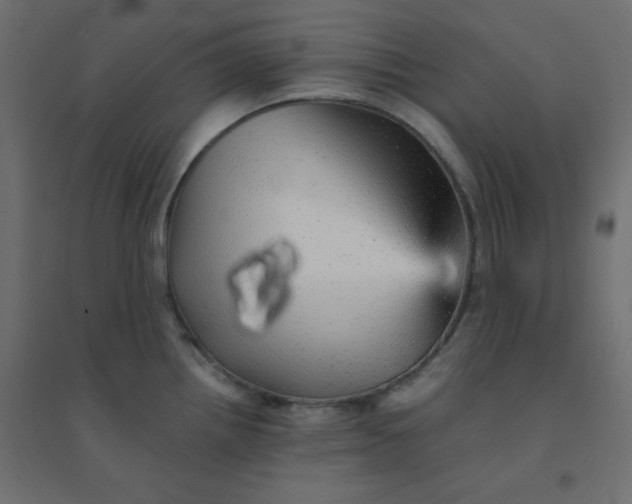 X0000094461242200711211534