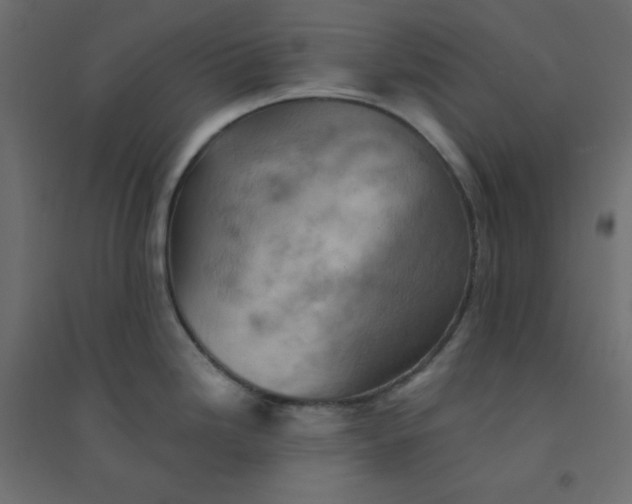 X0000094461246200711211534