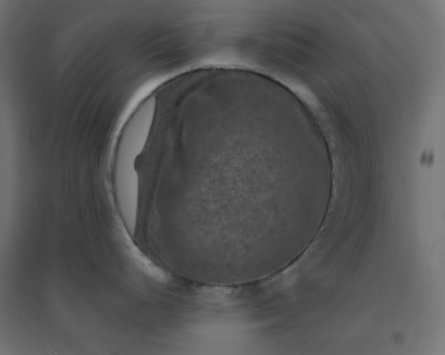X0000094461248200711211534