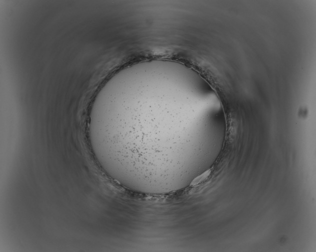 X0000094461249200711211533