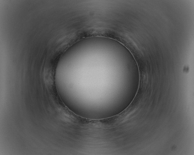X0000094461250200711211533