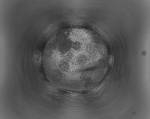X0000094461251200711211533
