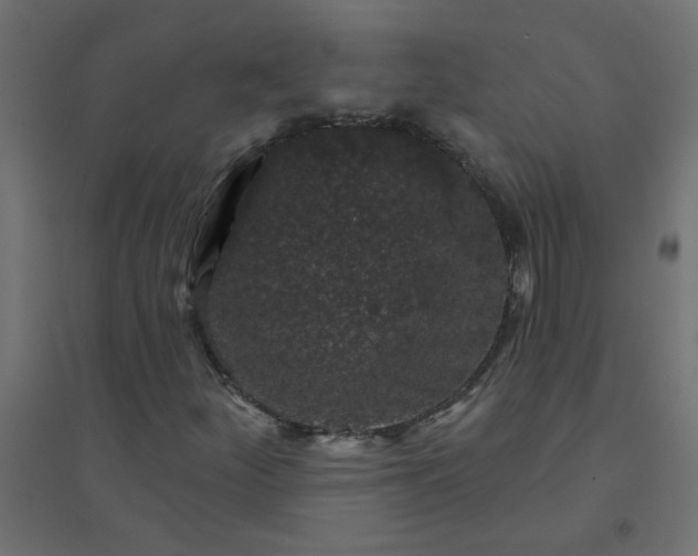 X0000094461252200711211533