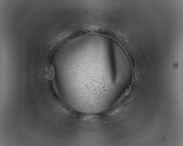 X0000094461253200711211533