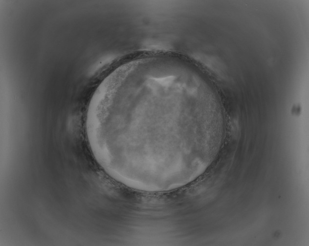 X0000094461254200711211533