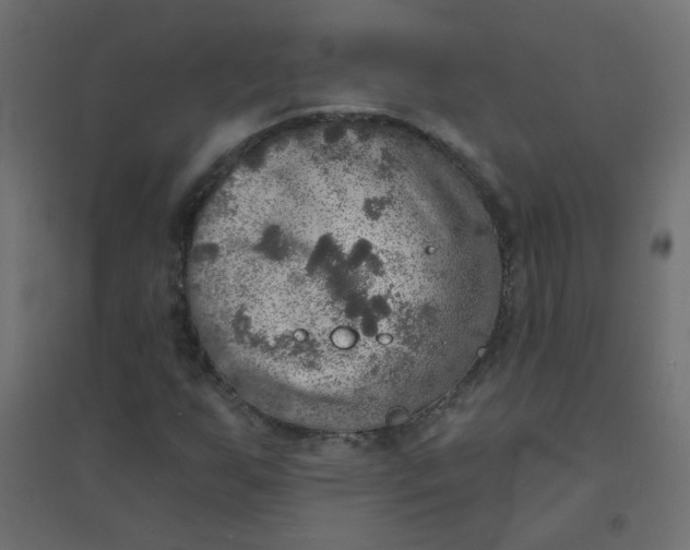 X0000094461255200711211533