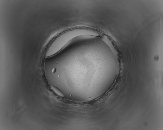 X0000094461256200711211533