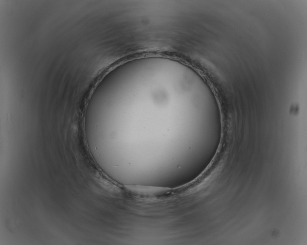 X0000094461257200711211533