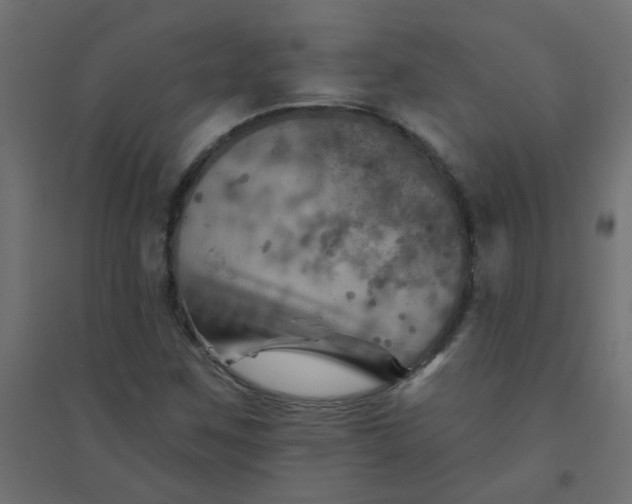 X0000094461259200711211533