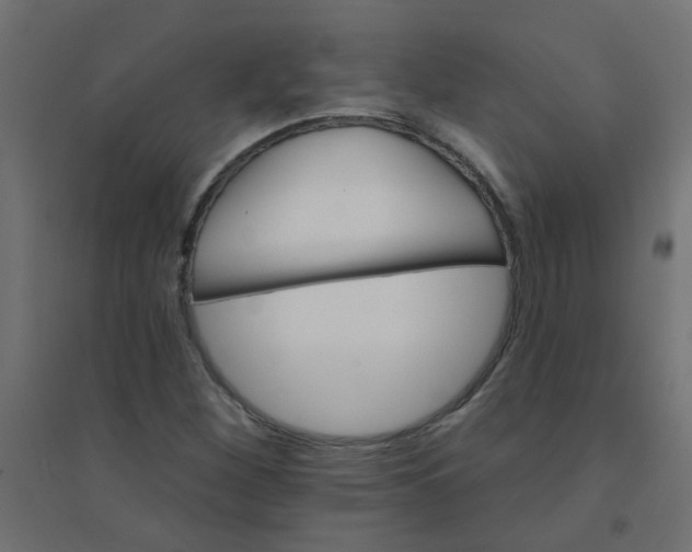 X0000094461260200711211533