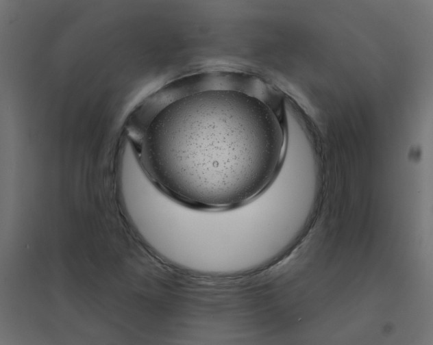 X0000094461261200711211533